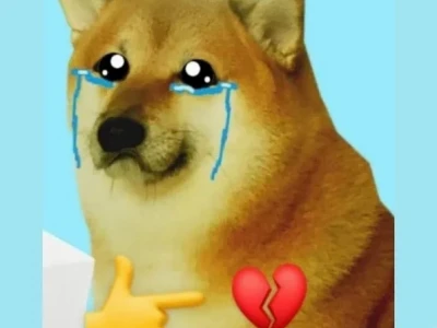 55+ Ảnh Meme Đau Tim Cute: Biểu Cảm "Sốc Tận Nóc" Khó Cưỡng