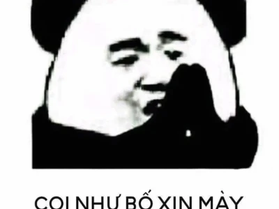 60+ Meme Quỳ Lạy Biểu Cảm Đa Dạng Từ Tha Thiết Đến Thán Phục