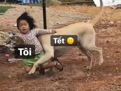 Avatar Tết Meme 2026: Biến hóa không khí Xuân thêm hài hước