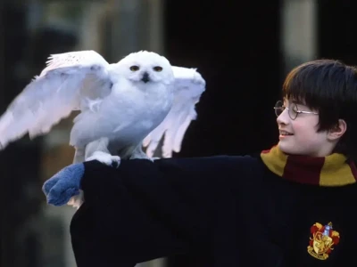 Harry Potter Lần Đầu Được Chuyển Thể Thành Anime