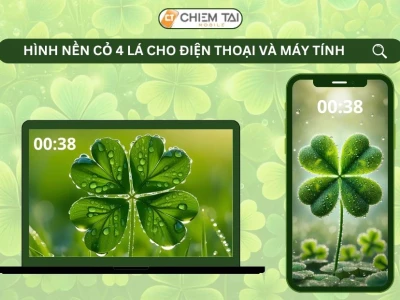 Khám phá hình nền cỏ 4 lá may mắn cho avatar và điện thoại