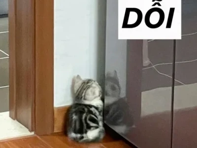 Khám phá kho meme dỗi cute và dỗi hờn hot nhất 2026