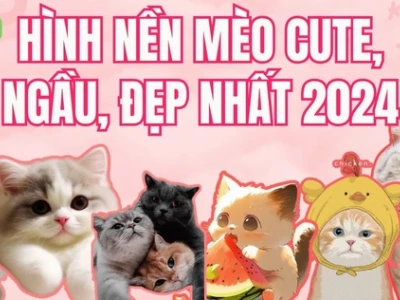 Khám phá thế giới mèo đen chibi: Hình nền, avatar và fanart độc đáo 2026