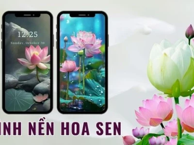 Khám phá vẻ đẹp tinh tế với hình nền hoa sen 3D ấn tượng
