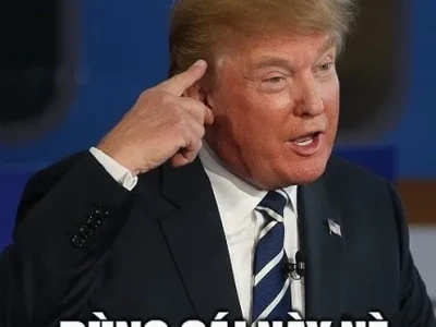 Meme Não: Cà Khịa Hài Hước Những Ai Đang 'Rớt Não'
